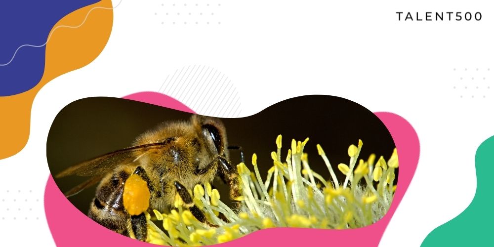 30 buzzwords on your CV that’ll get you the job